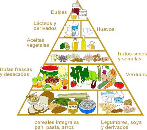 piramide vegetariana