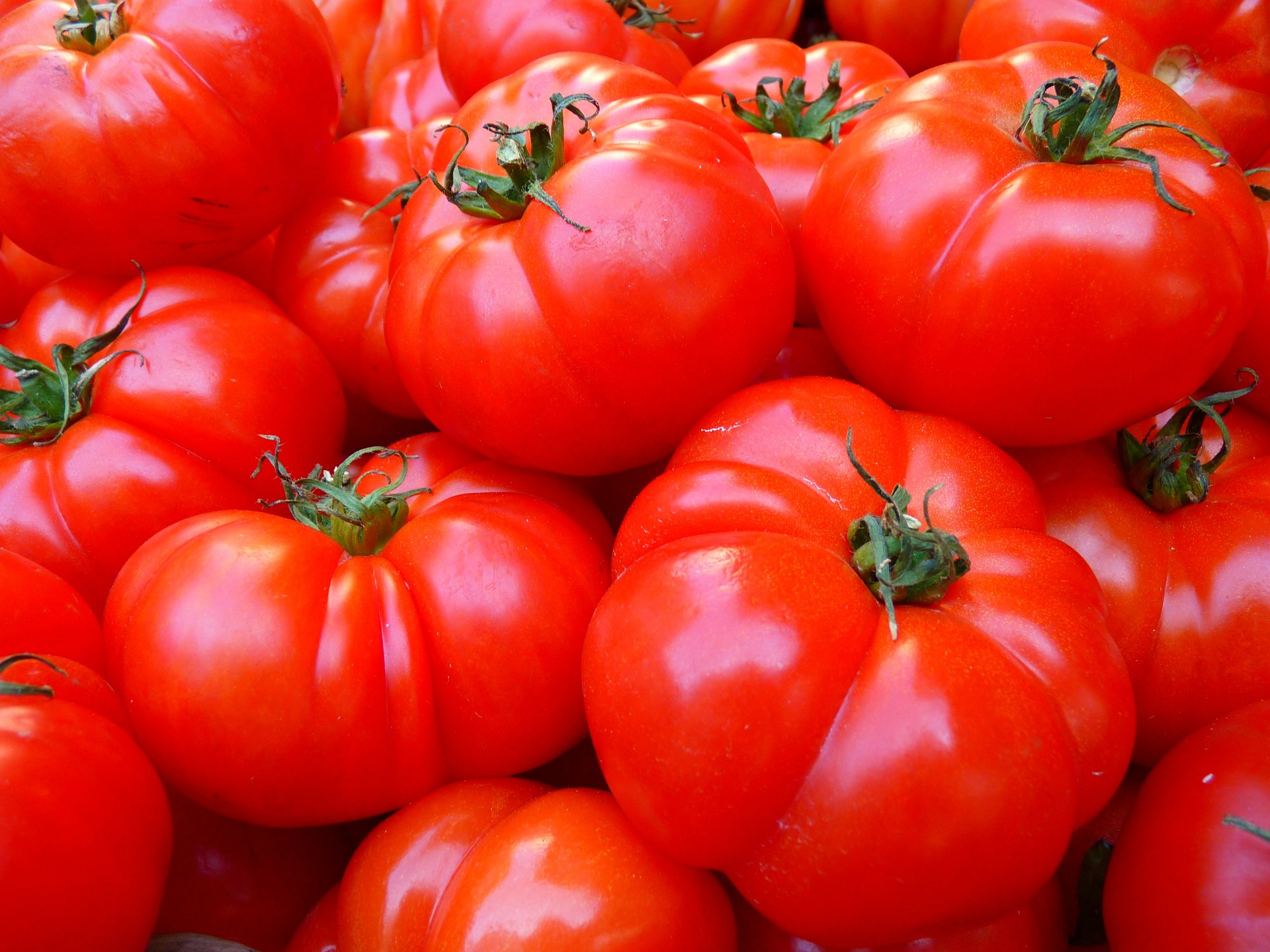 sopa-quema-grasa-tomates