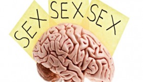 la mente y el sexo