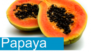 carica papaya