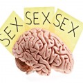 la mente y el sexo